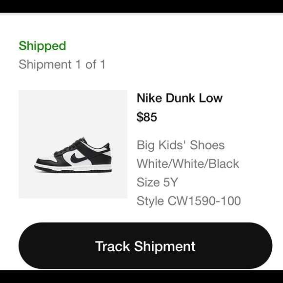 brand new nike panda dunks main image 0